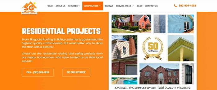 Skyguard Roofing And Siding - Radius Media Solution